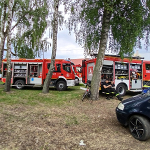 Dzień Dziecka